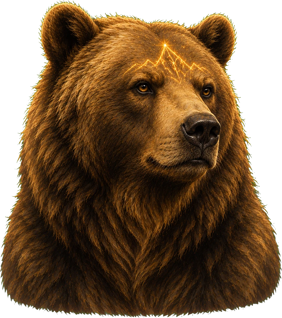 Bear — The Protector